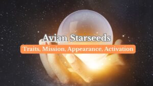 Avian Starseeds