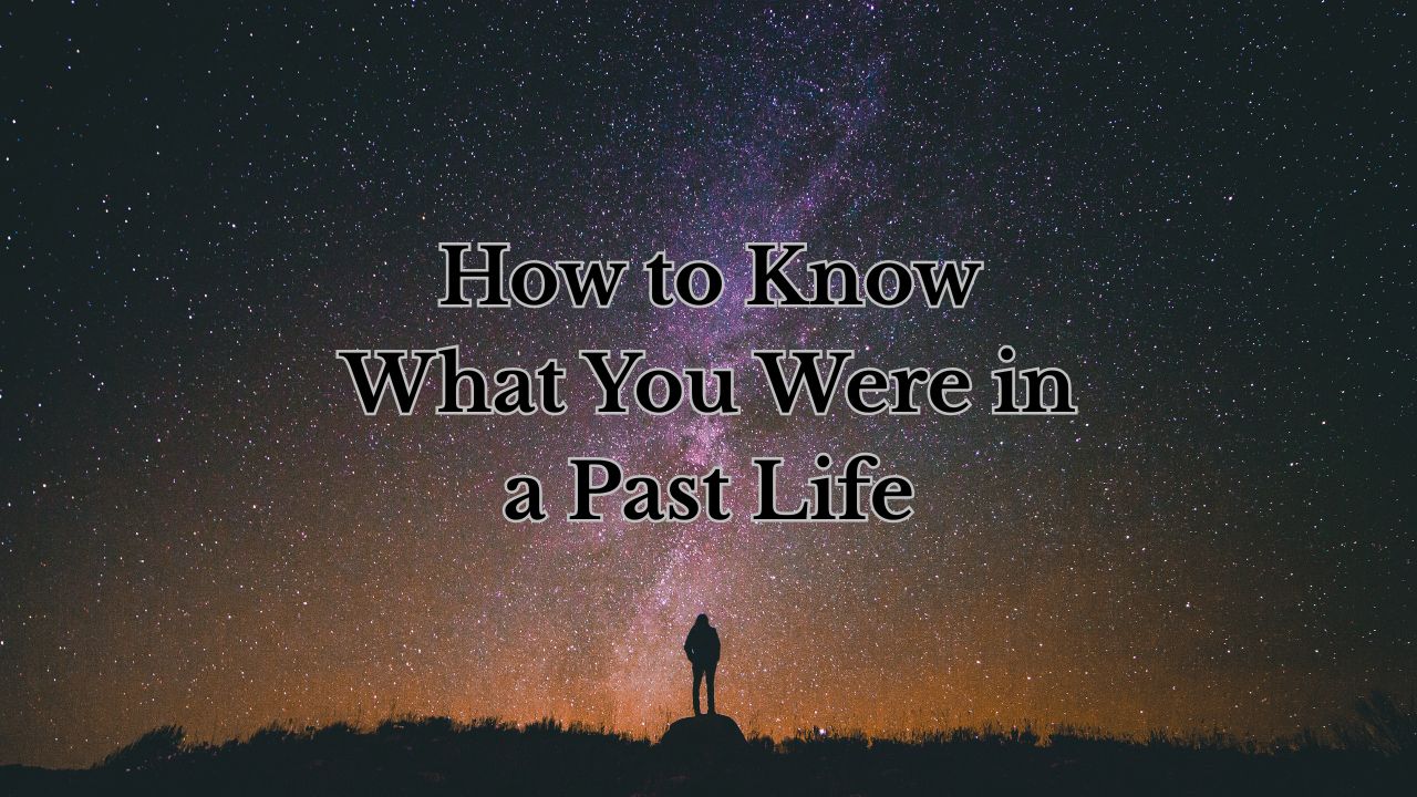 How to Know What You Were in a Past Life
