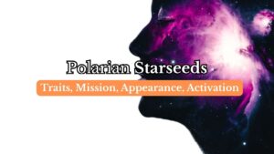 Polarian Starseeds
