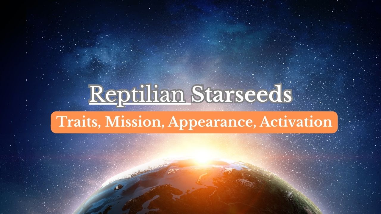 Reptilian Starseeds