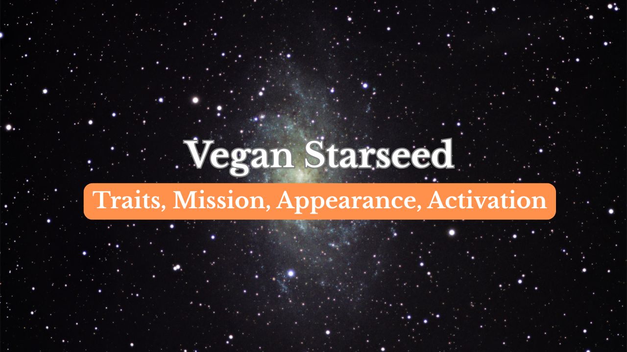 Vegan Starseed: Traits, Mission, Origins, Appearance